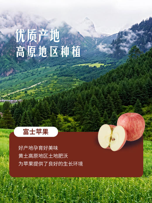 MM 山姆 富士苹果 2kg 商品图4