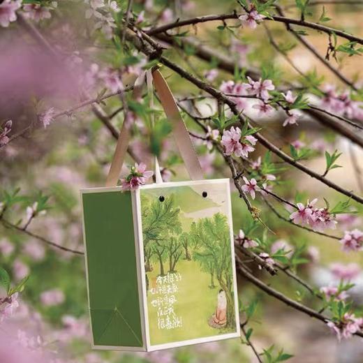 茉莉龙珠｜75克/罐x2罐  烘青茉莉花茶 五窨工艺 手工揉捻制成龙珠形态 商品图3