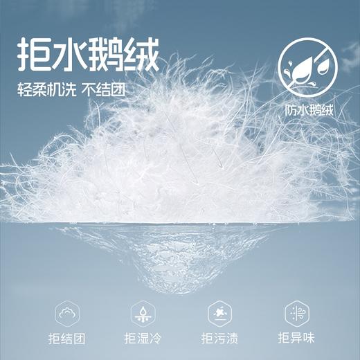 【可机洗90鹅绒T恤】2025年升级新款秋冬 可机洗拒水鹅绒T圆领羽绒暖柔保暖男女上衣 商品图4