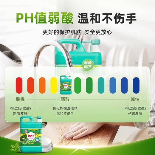 传化2kg绿茶洗洁精 商品图3