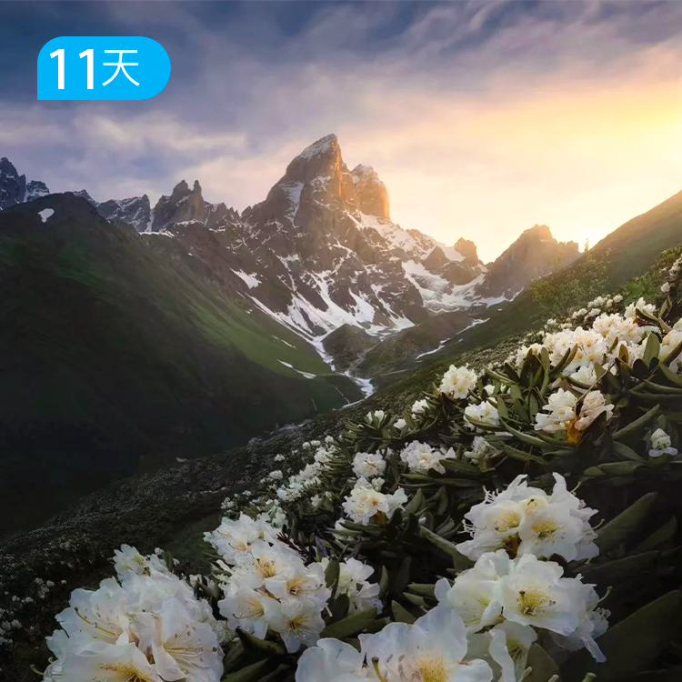 格鲁吉亚全景经典 11日