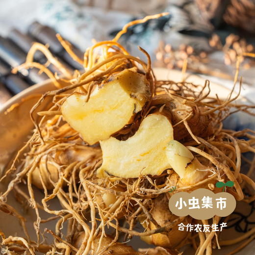 多年仿野生种植鲜黄精 1.5/3斤 | 合作农友生产，来自湖南邵阳，生产者：廖敦祥 *【公平贸易农人定价】 商品图1