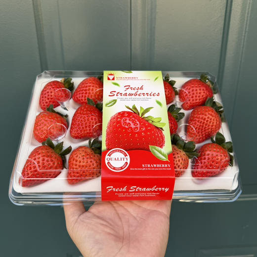 红颜草莓15个装/300g+ 商品图0