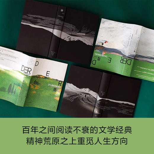 【托马斯·曼精选集】魔山 商品图1