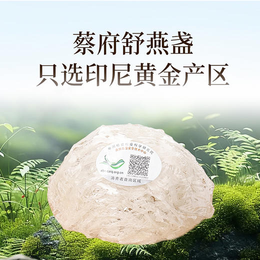 蔡府舒燕盏（即炖燕盏）9g 商品图3