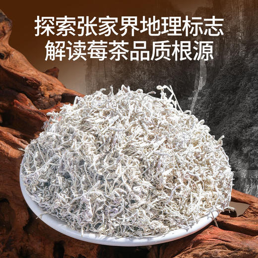 福东海 特级有机野生张家界莓茶芽尖 正品藤茶龙须芽尖高山霉茶嫩芽 商品图2