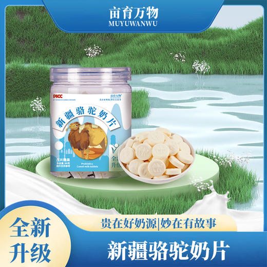 【新疆专场🥜】新疆骆驼奶片 解馋又健康💪 商品图5