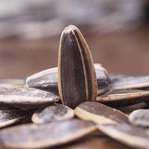 顺风蒙葵带壳葵瓜子内蒙特产 218g 商品图8