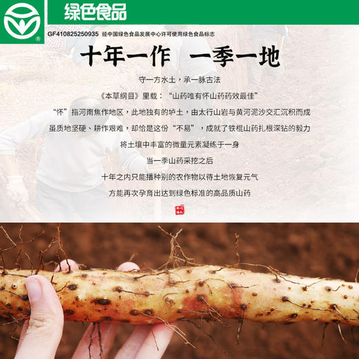 【绿色食品认证】温县怀川臻仁中原贡品铁棍山药5斤包邮 新鲜采挖，产地直发 商品图3