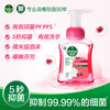 滴露泡沫洗手液樱桃芬芳250ml 商品缩略图7