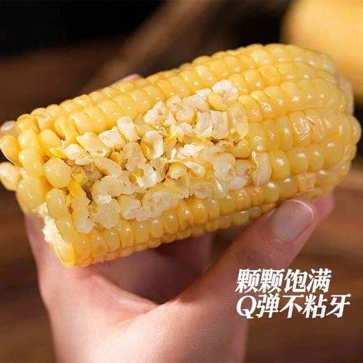 【甜糯玉米】香、甜、软、糯，QQ弹弹颗颗如珍珠一样 商品图8