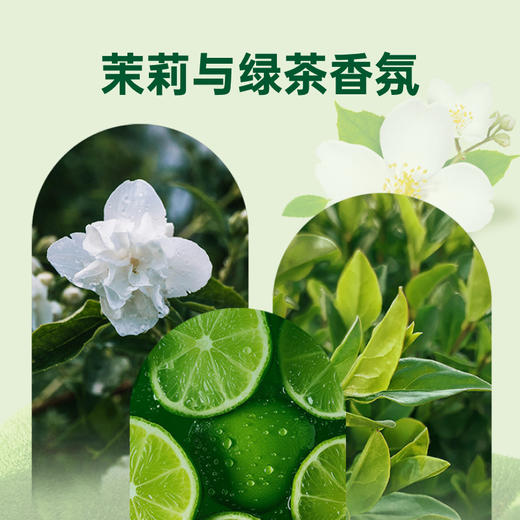滴露抑菌洗手液茉莉绿茶250g 商品图7