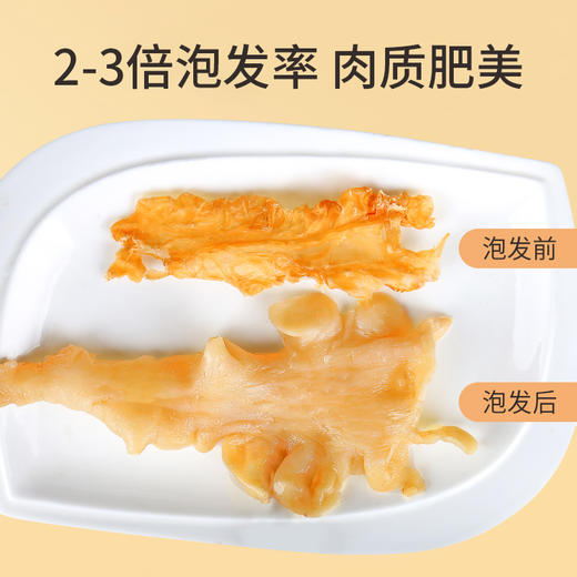 蔡府滋补干货7A鳕鱼胶150g礼盒版 150g/盒（5-7头） 商品图3