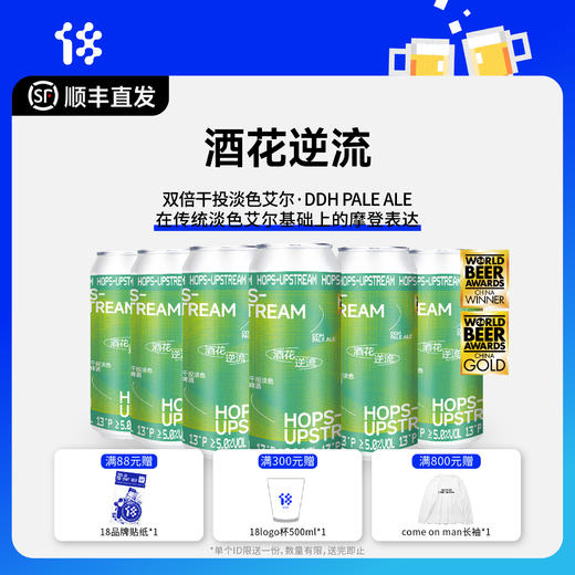 拾捌精酿 酒花逆流·双倍干投淡色艾尔 国产精酿啤酒 500ML 商品图0