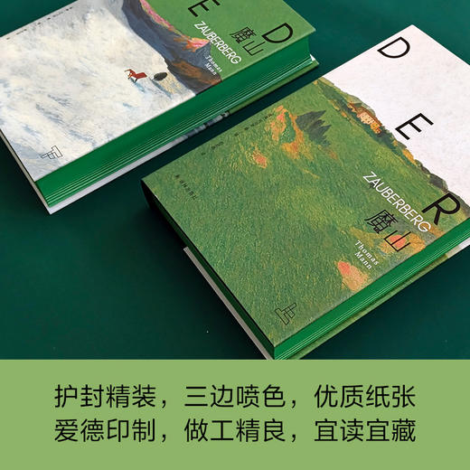 【托马斯·曼精选集】魔山 商品图4
