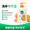 滴露自然清新洗手液200g 商品缩略图5
