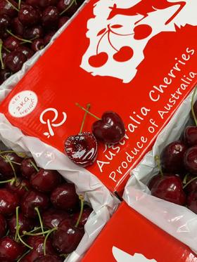 空运车厘子【48-72小时发货】第一口澳洲车厘子尝鲜！来自新南威尔士州红袋鼠果园，每年出口销量冠军 品质稳定 又脆又甜 广州仓发货 国内顺丰空运