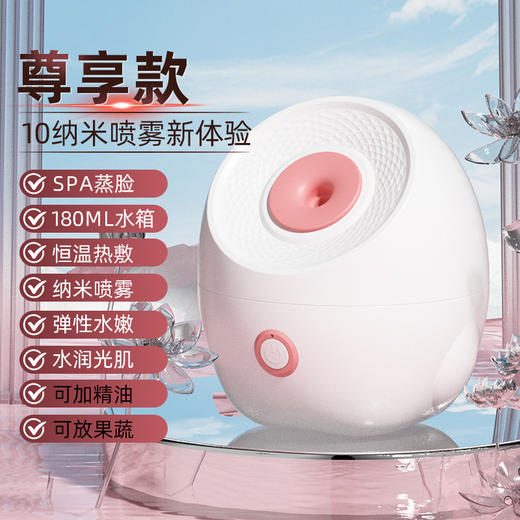 热喷蒸脸器蒸汽机家用面部补水神器纳米喷雾打开毛孔加湿器蒸脸仪 商品图3