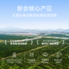 世纪茗家新会陈皮2023年珍藏装50克有机陈皮 商品缩略图4