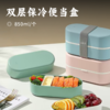 【积分兑换】双层保冷便当盒 |  加热冷鲜一盒两用 材质安全密封性佳 水果刺身持久保鲜饭盒 商品缩略图0