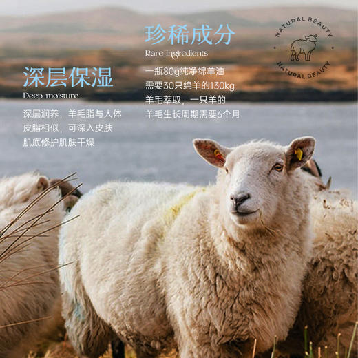 【三罐装】EMWM绵羊油润肤乳，面霜级润肤乳，防干裂/干痒；天然绵羊油提取、7天长效滋润，专利进口原料；敏感肌可用全家适用；300ml/罐 商品图1