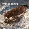 【年终大促!·大连国标特级速发海参礼盒】营养、品质、数量"三大升级”免蒸免煮 48小时速发!含盐分享量≤2%，蛋白质含量≥70% 100根送20根(单根需12.5元!) 商品缩略图4