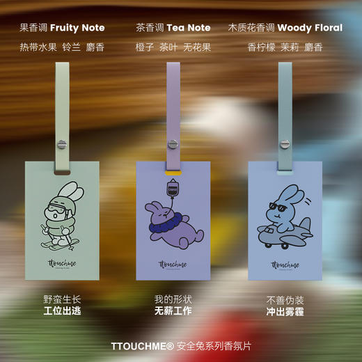【付邮香氛片】TTOUCHME安全兔系列香氛片 香包 车载香薰 香片衣柜室内香卡挂件持久留香 茶香 商品图6