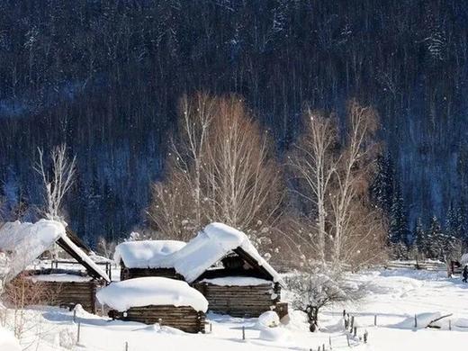【全程越野车3人/车】北疆冬日仙境禾木、喀纳斯、白哈巴、安集海大峡谷、魔鬼城、阿禾公路8天摄影团 商品图7