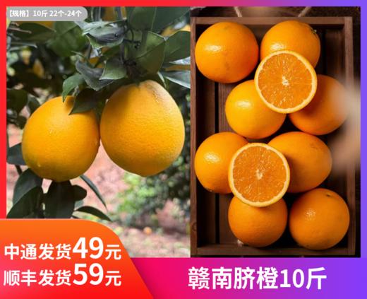 【赣南脐橙】阳光吻过的金黄，每一瓣都藏着赣南的甜。.这颗橙子，是冬日写给味蕾的一封情书。爆汁瞬间，仿佛咬碎了整个晴朗的秋天-TJLL 商品图0