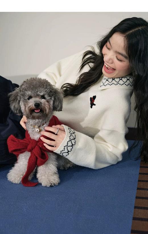 D112057杏色polo领刺绣毛衣女2025秋冬季新款气质软糯显瘦针织衫短款 商品图12