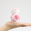 【MINI宝贝】ROSEONLY诺誓 永生玫瑰 公仔系列 MINI系列公仔   送朋友 送闺蜜 商品缩略图1