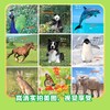 美国国家地理猜猜它是谁            双语版（不含点读笔） 商品缩略图3
