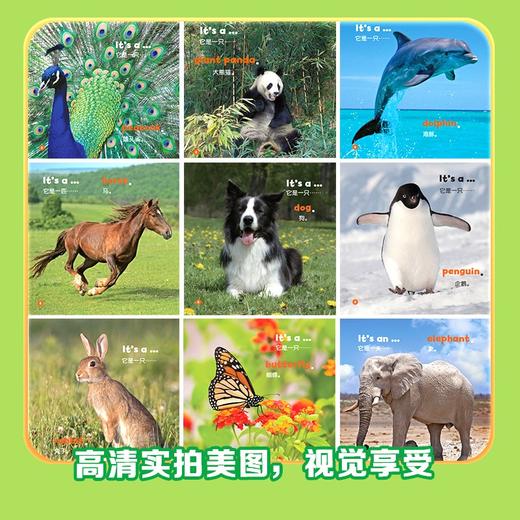 美国国家地理猜猜它是谁            双语版（不含点读笔） 商品图3