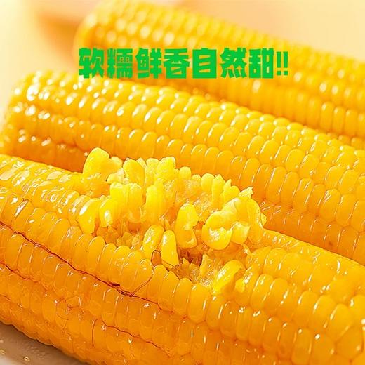 【甜糯玉米】香、甜、软、糯，QQ弹弹颗颗如珍珠一样 商品图11