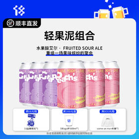 拾捌精酿·轻果泥组合·Fruited Sour Ale 330ml 6罐装
