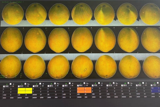 【限量秒杀】正宗赣南脐橙高山果老树脐橙 10斤/20斤装 玲珑果（带箱）德邦快递  2025年赣南脐橙协会地标证明千万级绿萌机器选果非人工盲选（因为看不到果肉里面的品质和糖酸度比） 商品图14