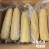 【甜糯玉米】香、甜、软、糯，QQ弹弹颗颗如珍珠一样 商品缩略图10
