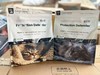 翡冷翠珍纪系列犬猫干粮四大口味（朱迪南宁仓库现货） 商品缩略图4