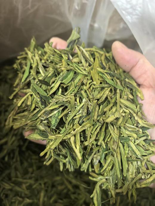 【茗】杭州雨前龙井茶250克 商品图2