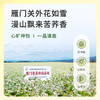 雁门清高 有机黑苦荞米荞麦米山西特产1800g 商品缩略图4