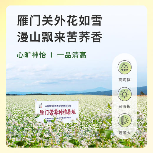 雁门清高 有机黑苦荞米荞麦米山西特产1800g 商品图4