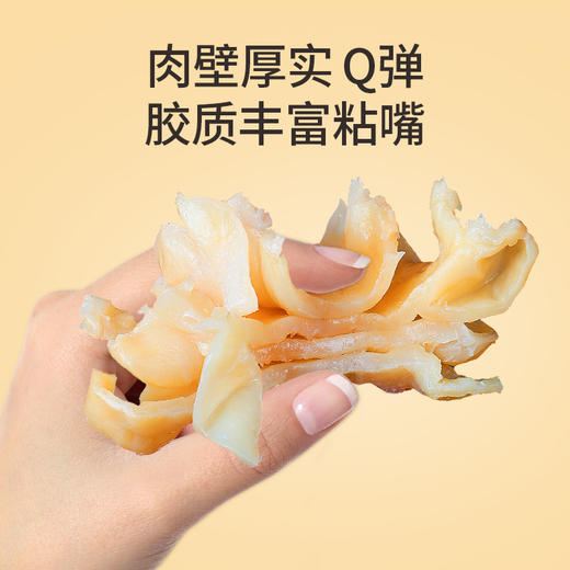 蔡府滋补干货7A鳕鱼胶150g礼盒版 150g/盒（5-7头） 商品图4