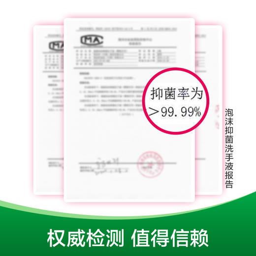 滴露泡沫洗手液樱桃芬芳250ml 商品图6