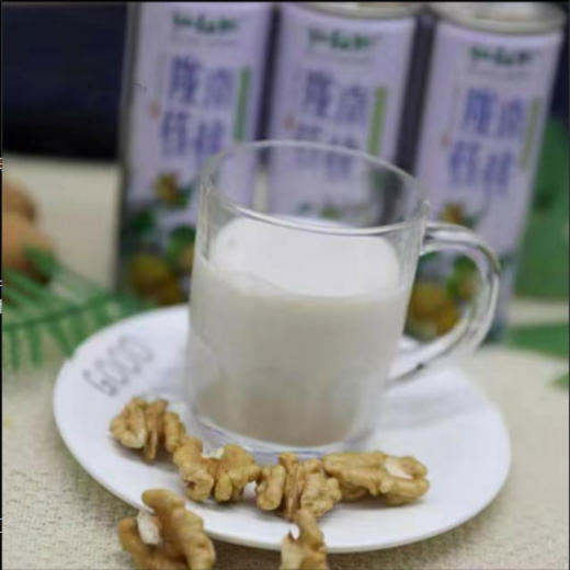 核桃乳植物蛋白饮料240ml/罐 商品图3