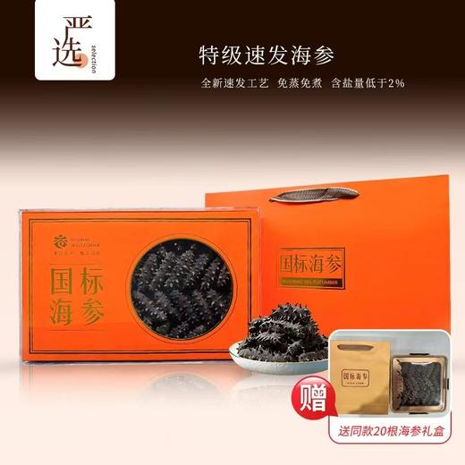 【年终大促!·大连国标特级速发海参礼盒】营养、品质、数量"三大升级”免蒸免煮 48小时速发!含盐分享量≤2%，蛋白质含量≥70% 100根送20根(单根需12.5元!) 商品图0