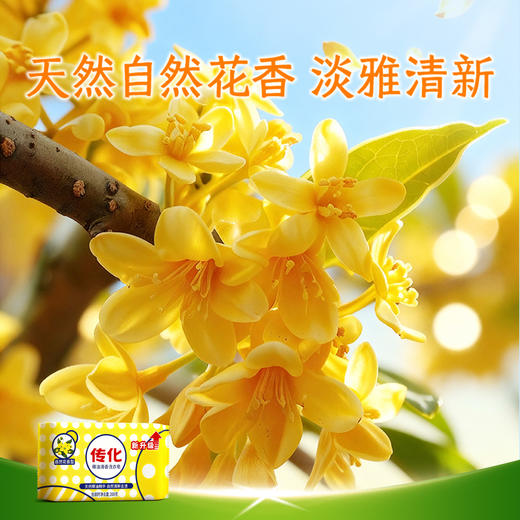 传化208g*48块椰油植物皂【整箱】 商品图3