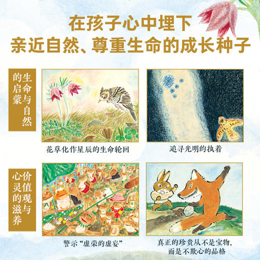 【3-12岁】宫泽贤治经典珍藏全10册童真三部曲/觉醒三部曲/诗画四重奏全龄共读绘本 商品图4