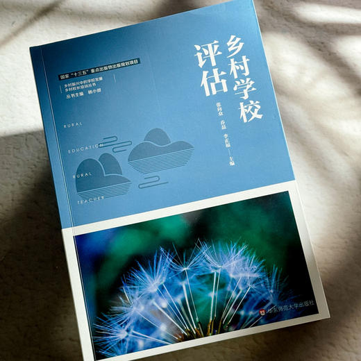 乡村学校评估 乡村振兴中的学校发展 乡村校长培训丛书 商品图3