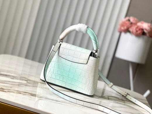 秋冬特惠💰1430 渠道级LV 新品🔸te级LV精品🔸N93163/M48865白拼绿鳄鱼纹 商品图2