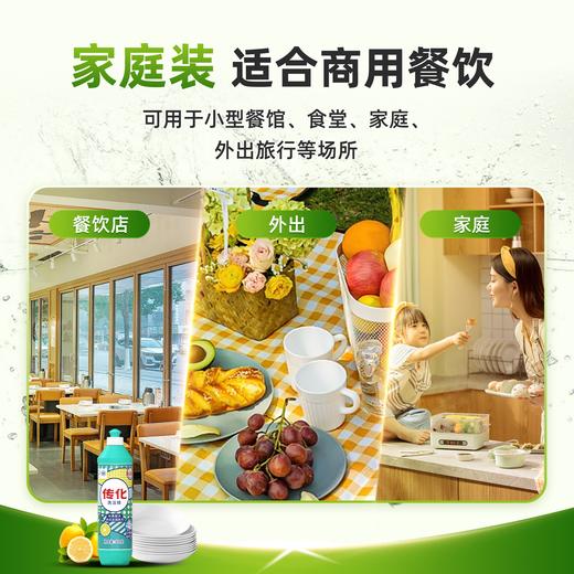 传化500g家用小瓶洗洁精 商品图3